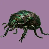 Beetle