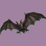 Bat