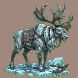 Reindeer