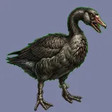 Goose