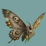 Moth
